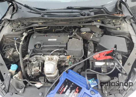 2017 Honda Accord Exl z USA, uszkodzony, nr VIN 1HGCR2F81HA136981